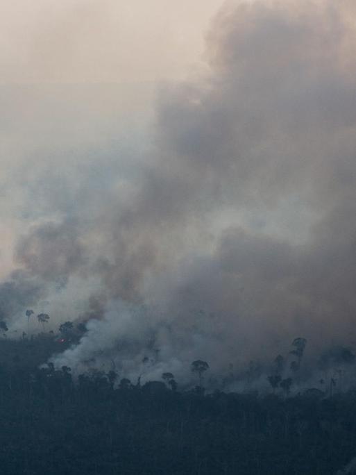 Aufnahmen der Waldbrände im Amazonas-Regenwald.