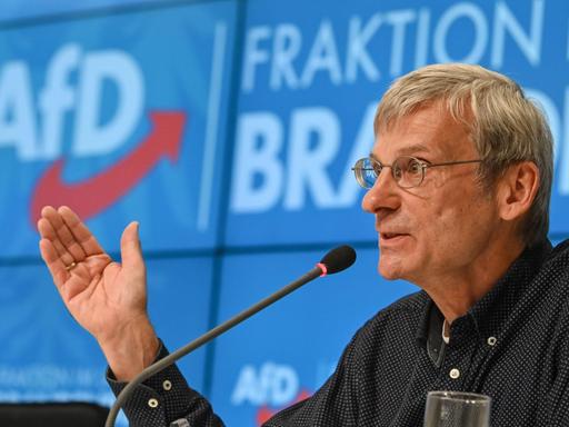 Potsdam: Hans-Christoph Berndt (AfD), Abgeordneter im Landtag von Brandenburg, sitzt vor einem Mikrofon, hinter ihm das AfD-Logo.