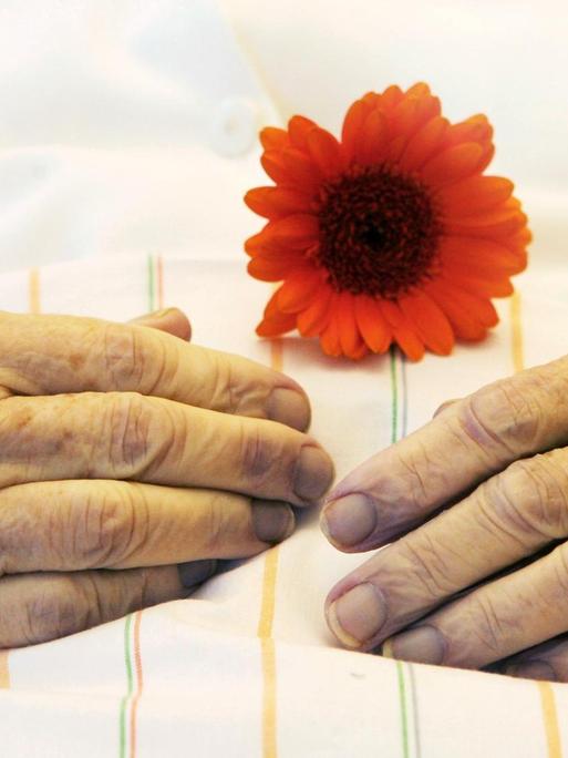 Die Hände einer alten Frau mit einer Blume auf einer Bettdecke.