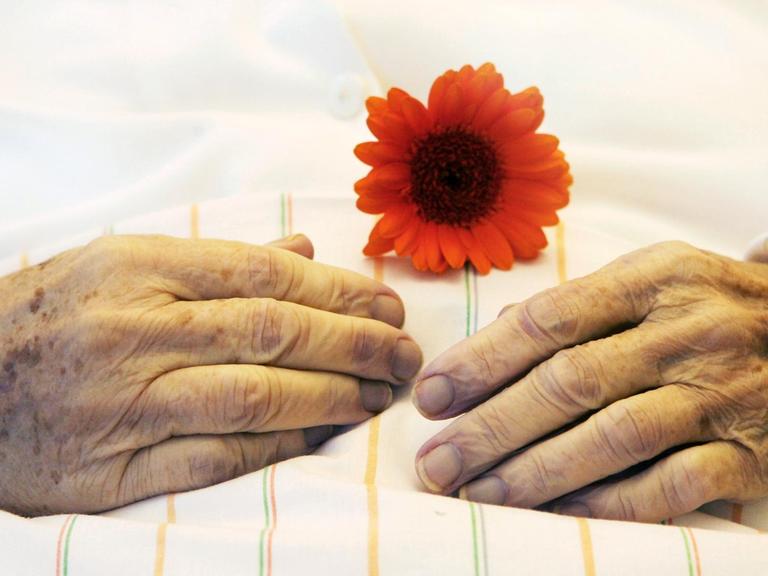 Die Hände einer alten Frau mit einer Blume auf einer Bettdecke.