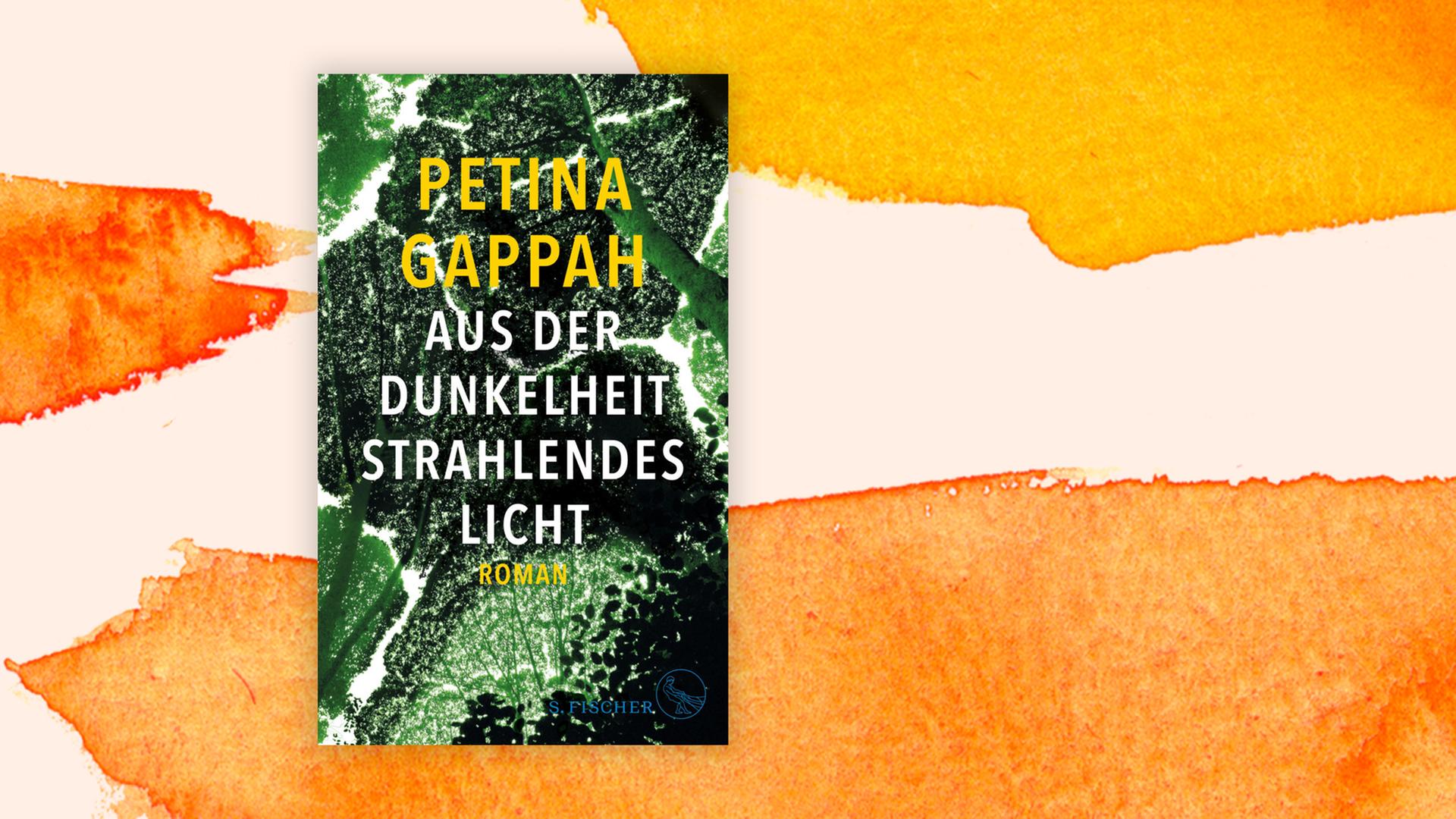 Buchcover von "Aus der Dunkelheit strahlendes Licht" von Petina Gappah
