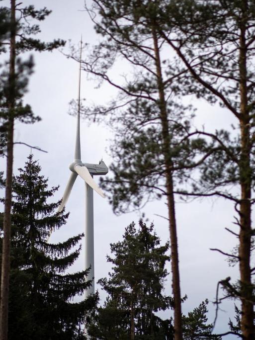 Eine Windkraftanlage steht im Wald nahe dem Creußener Ortsteil Neuhof. Bayerns Wirtschaftsminister und Bayerns Umweltminister haben an der Windenergieanlage in erläutert, wie die Windkraft im Freistaat ausgebaut werden könnte und in welchen Regionen Potenzial liegt.