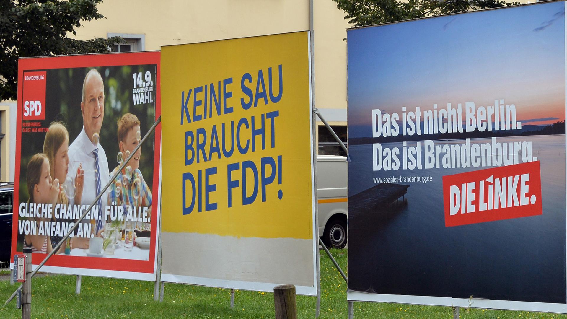 Mit dem selbstironischen Slogan "Keine Sau braucht die FDP" werben die Brandenburger Liberalen zwischen den Plakaten der SPD und der Linken.