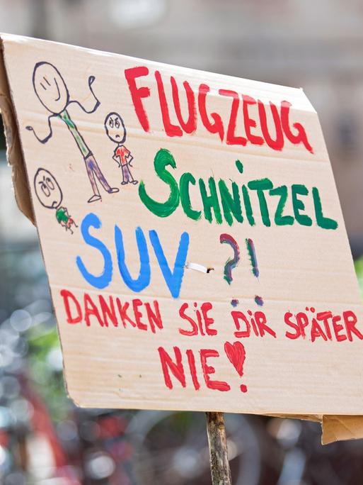 Auf einem Protestschild steht "Flugzeug, Schnitzel, SUV?! Danken sie dir später nie!".
