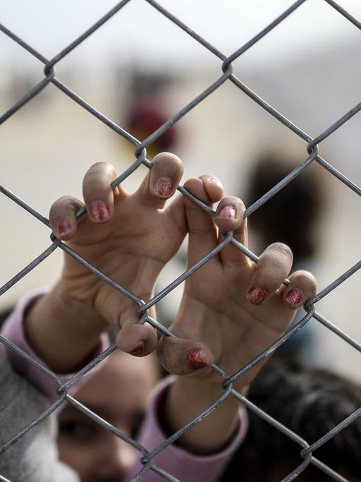 Die Hände syrischer Flüchtlinge greifen an einen Maschendrahtzaun
