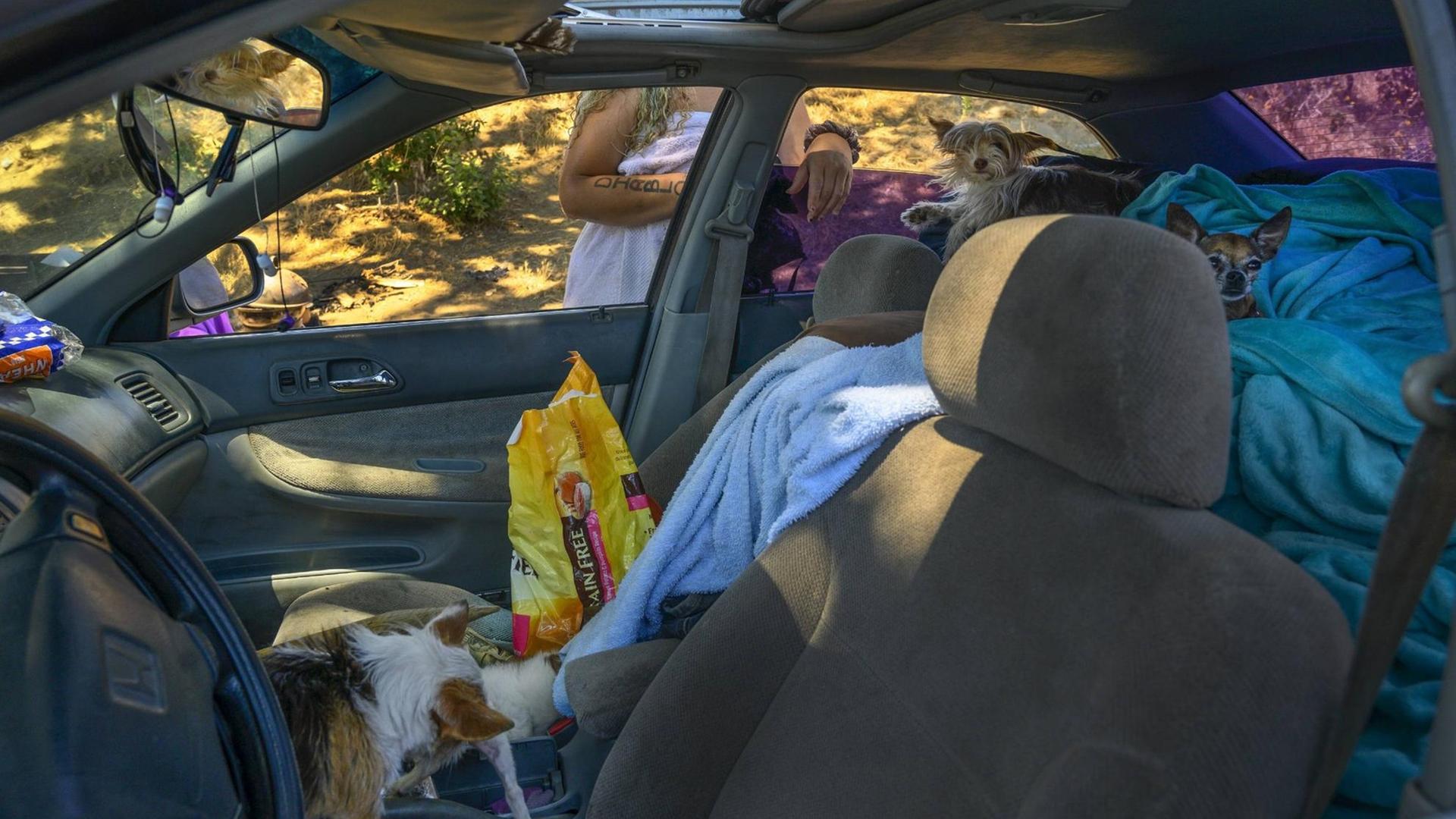 Der Innenraum eines Autos, in dem eine obdachlose Frau lebt. Decken liegen auf der Rückbank.