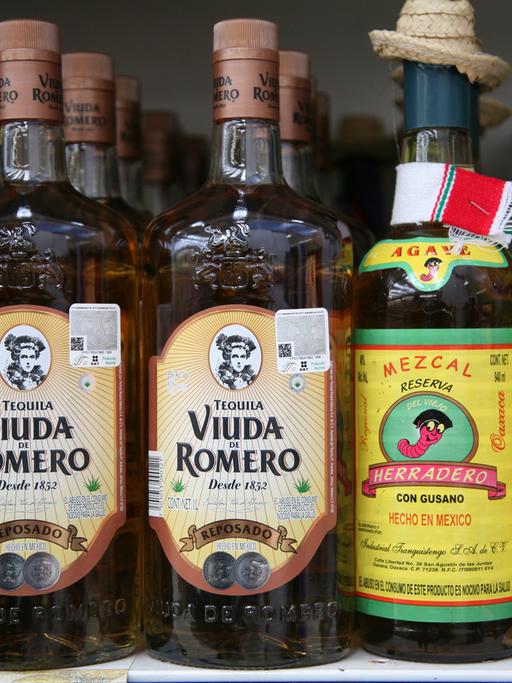 Flaschen von Tequila und Mescal in einem Shop in San Miguel de Cozumel, aufgenommen am 08.12.2010.
