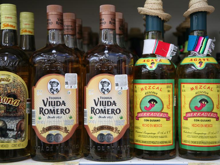 Flaschen von Tequila und Mescal in einem Shop in San Miguel de Cozumel, aufgenommen am 08.12.2010.