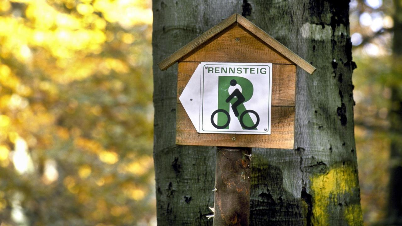 Wanderwegweiser am Baum am Rennsteig im Thüringer Wald
