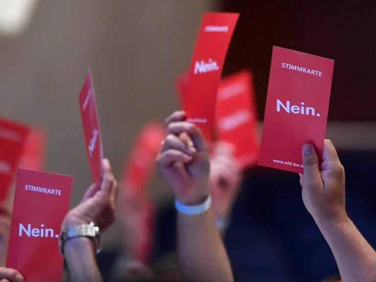 Beim 14. Landesparteitag der AfD Baden-Württemberg werden rote Stimmkarten mit der Aufschrift Nein in die Höhe gehalten.