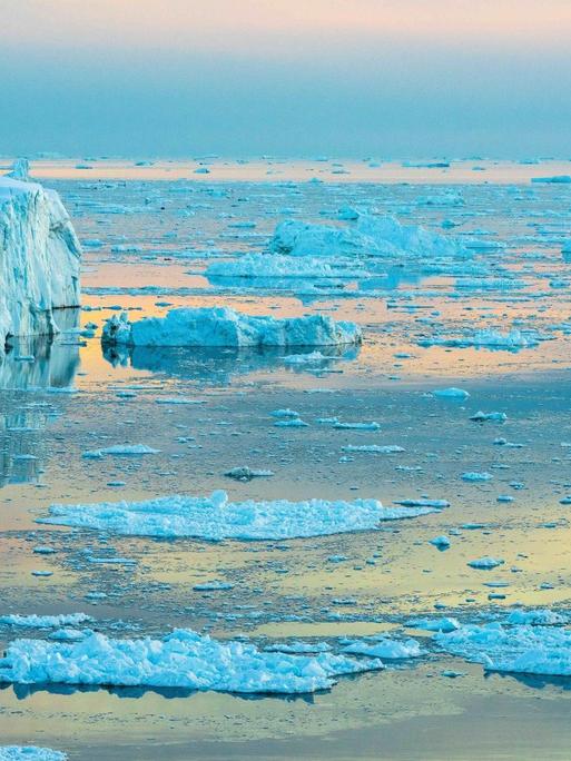 Eisberge in Grönland - der Klimawechsel hat große Auswirkungen auf Gletscher und Polkappen