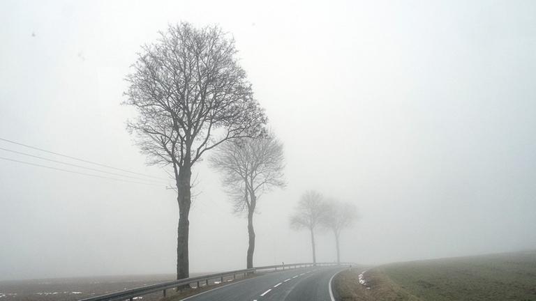 Hochnebel im Sauerland Hochnebel im Sauerland