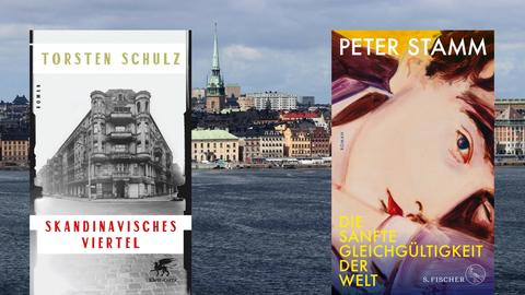 Buchcover links: Torsten Schulz: „Skandinavisches Viertel“ und rechts: Peter Stamm: „Die sanfte Gleichgültigkeit der Welt“
