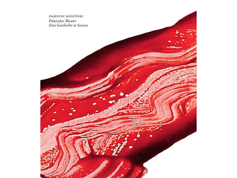 Buchcover "Polnisches Theater" von Dariusz Kosinski