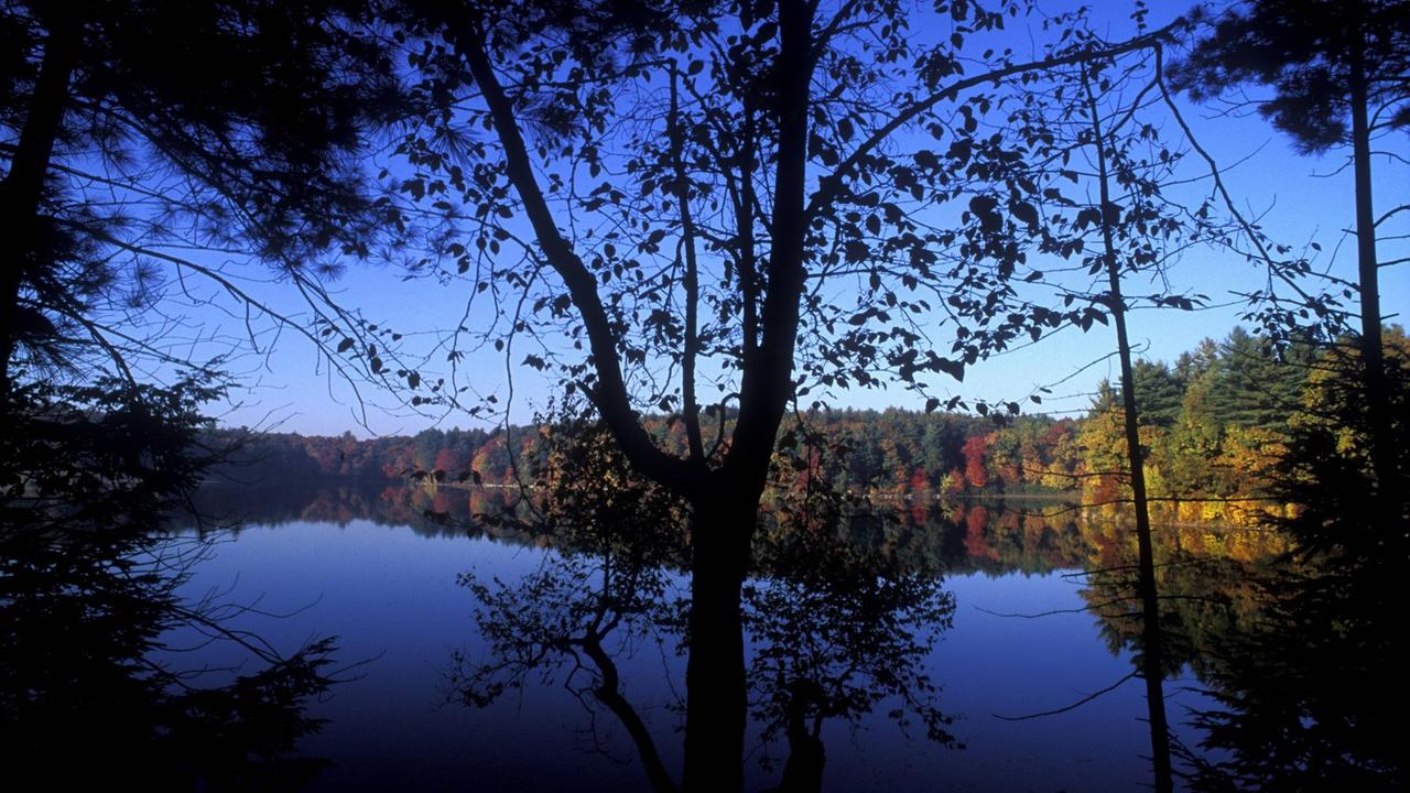 Walden Pond State Reservation in Concord, Massachusetts, USA