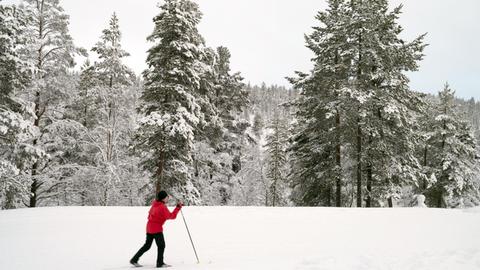 Blick zum Berg Kaunispää von Saariselkä einem Ortsteil von Inari (Lappland), aufgenommen am 10.02.2016. Der Ortsteil wird vorwiegend von Touristen frequentiert. Foto: Peter Endig | Verwendung weltweit