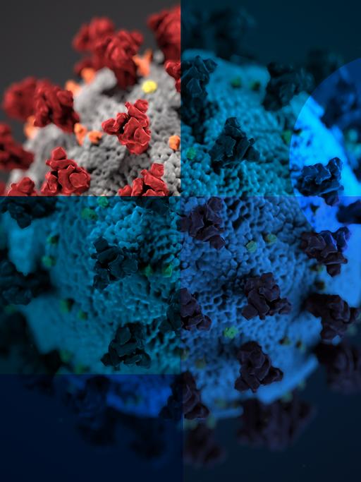 Das Bild zeigt eine Darstellung des Coronavirus. Auf dem Bild sind neben dem Virus halbdurchsichte Quadrate und Kreise in unterschiedlichen Blautönen zu erkennen.
