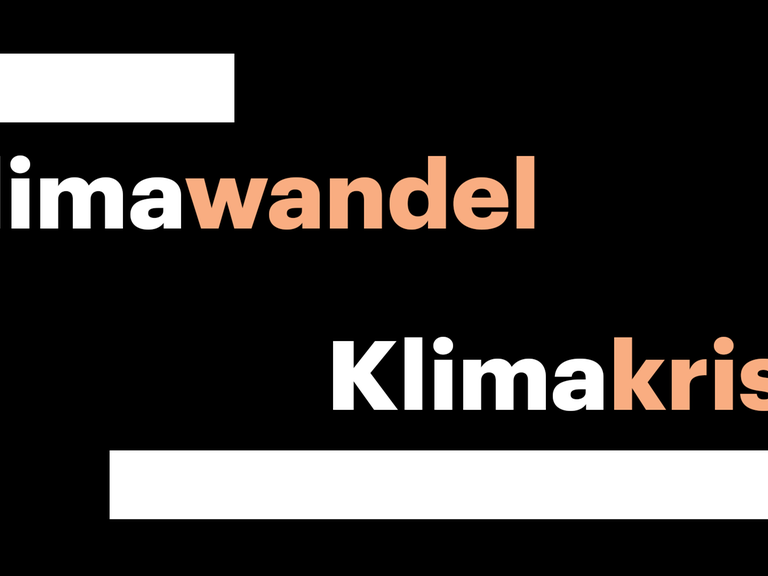 Wandel oder Krise? Wörter können ideologisch selektive Deutungsmuster aufrufen.