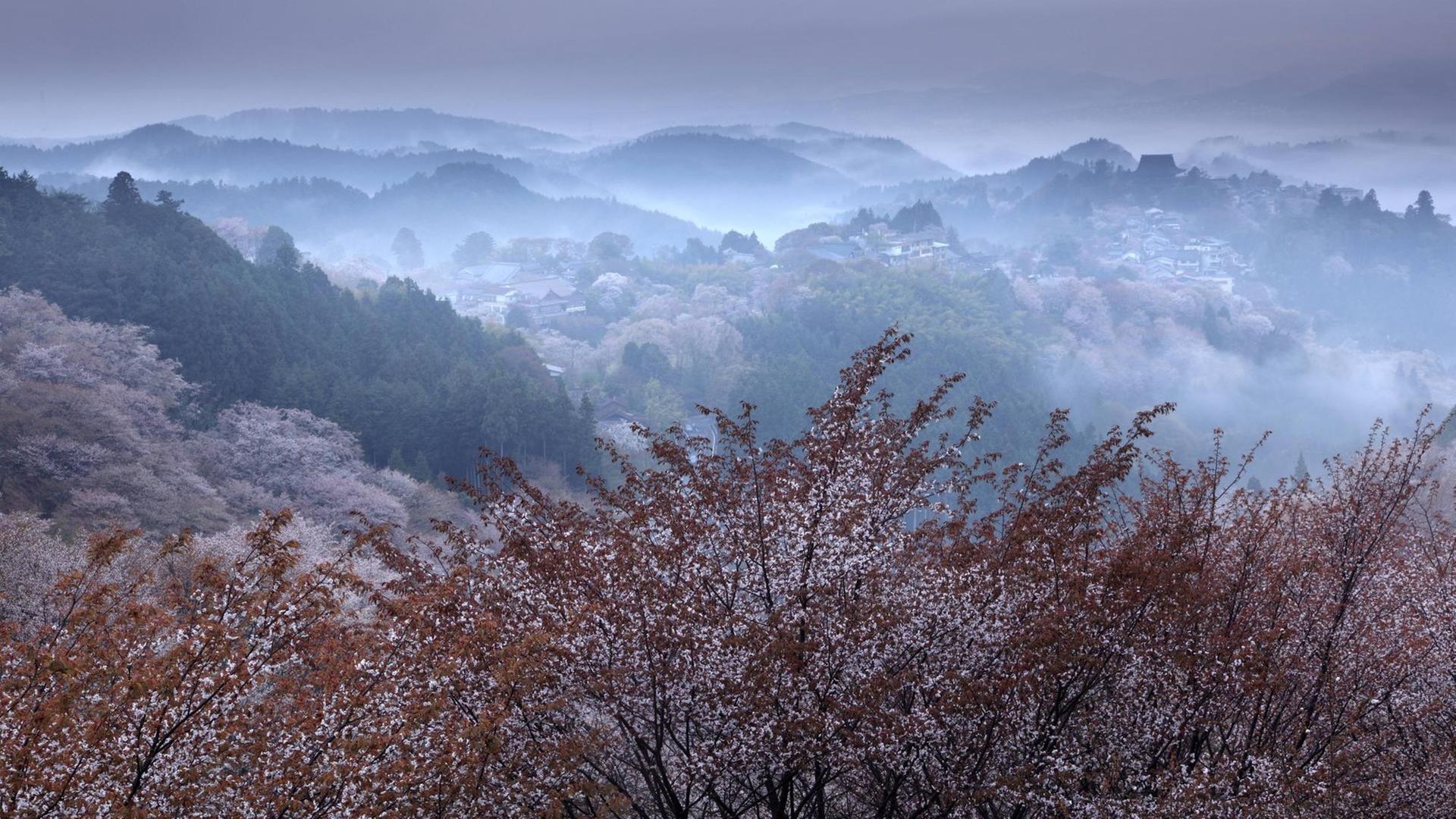 Rückzug in die Einsamkeit der japanischen Berge.