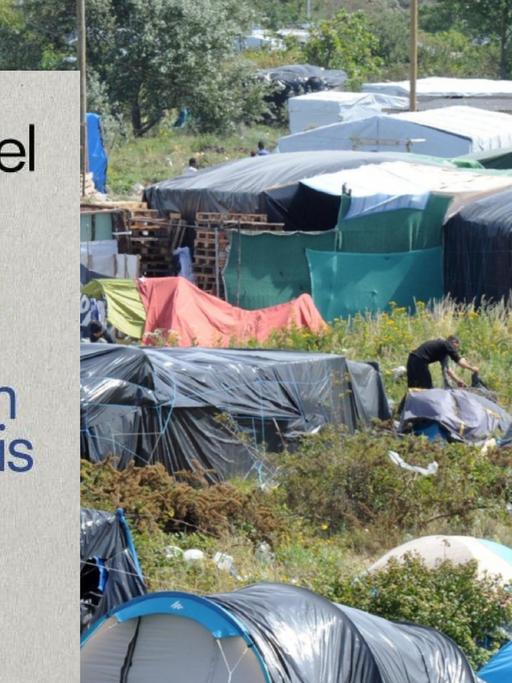 Buchcover von Emmanuel Carrère: Brief an eine Zoowärterin aus Calais