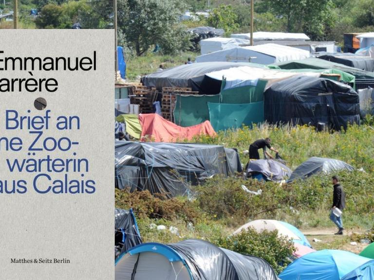 Buchcover von Emmanuel Carrère: Brief an eine Zoowärterin aus Calais