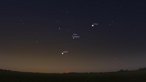 Mars und Regulus zwischen Venus und Jupiter morgen früh gegen 6 Uhr