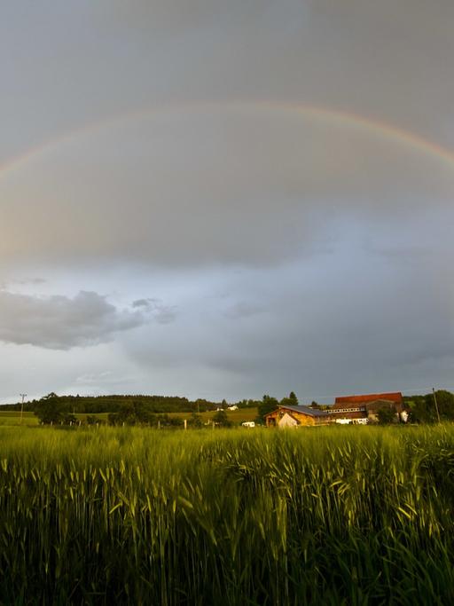Ein Doppel-Regenbogen über der Gemeinde Horgenzell in Oberschwaben.