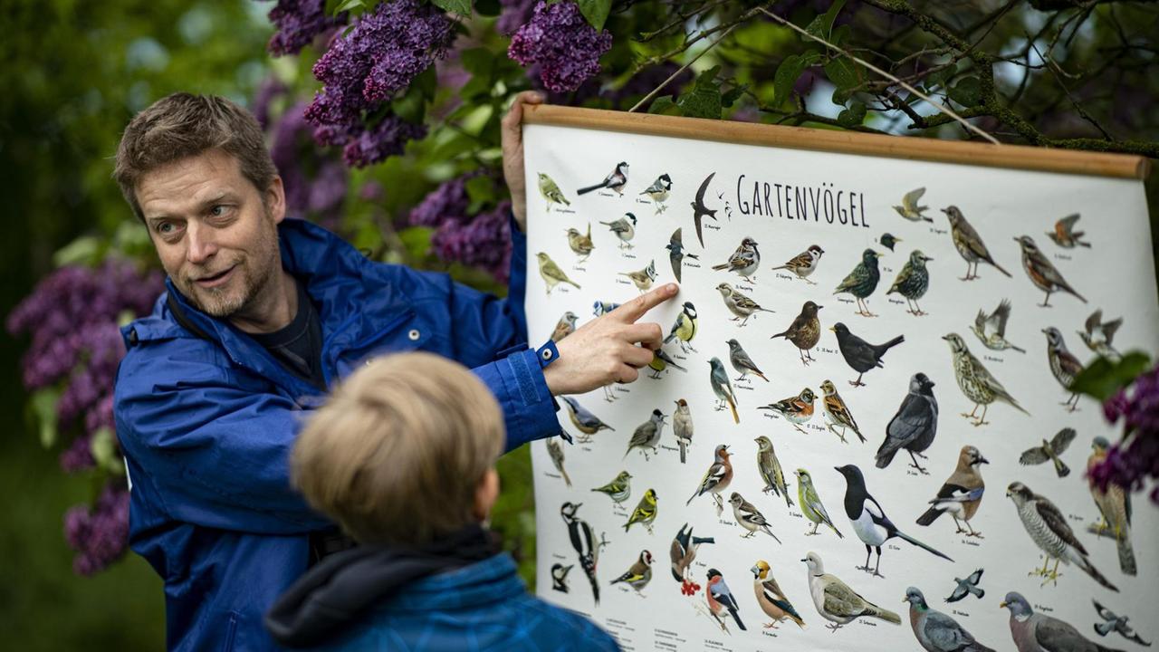 Lars Lachmann, Leiter Ornithologie und Vogelschutz beim Naturschutzbund Deutschland (NABU), zeigt auf einem Plakat die verschiedenen Gartenvögel. Der NABU ruft bundesweit zur "Stunde der Gartenvögel" auf. Dabei sollen eine Stunde lang die Vögel im Garten, vom Balkon aus oder im Park beobachtet, gezählt und gemeldet werden.
