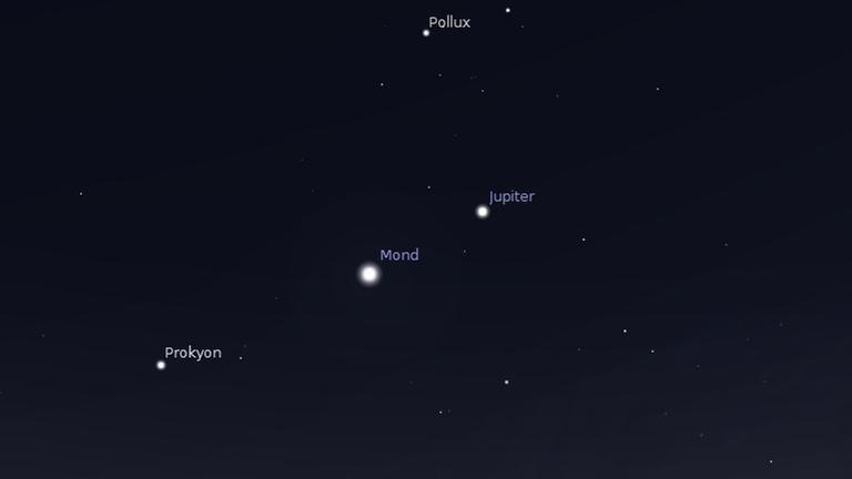 Prokyon, Mond und Jupiter heute Abend Prokyon, Mond und Jupiter heute Abend