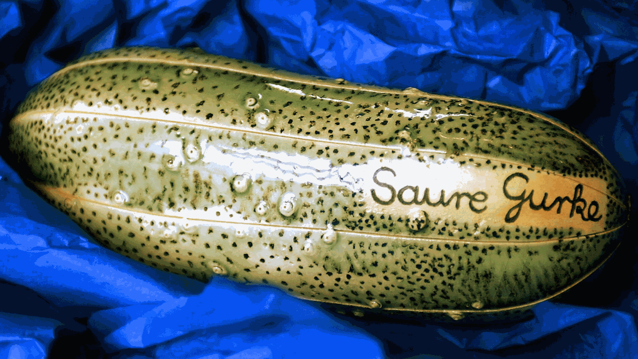 Das Photo zeigt eine saure Gurke mit der Aufschrift "Saure Gurke" auf einem blauen Samtbett.