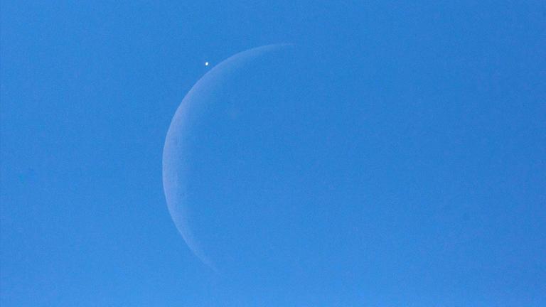 Gelegentlich hilft der hellere Mond bei Aufsuchen der Venus am Taghimmel, dann nämlich, wenn eine Venusbedeckung durch den Mond ansteht