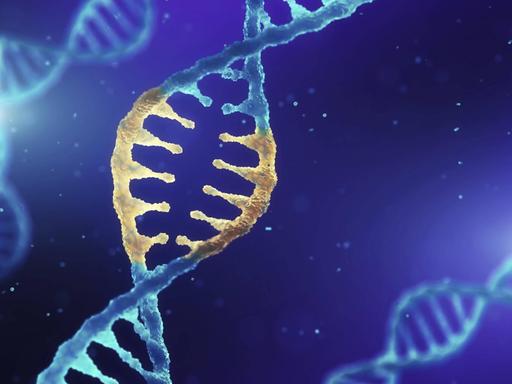 Eine Illustration zeigt Doppelhelix DNA mit modifizierten Genen. (Symbolbild)