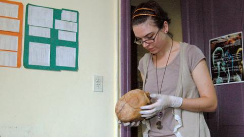 Eine Frau untersucht mit Gummihandschuhen den Schädel eines menschlichen Skeletts, vor ihr liegen weitere Knochenteile