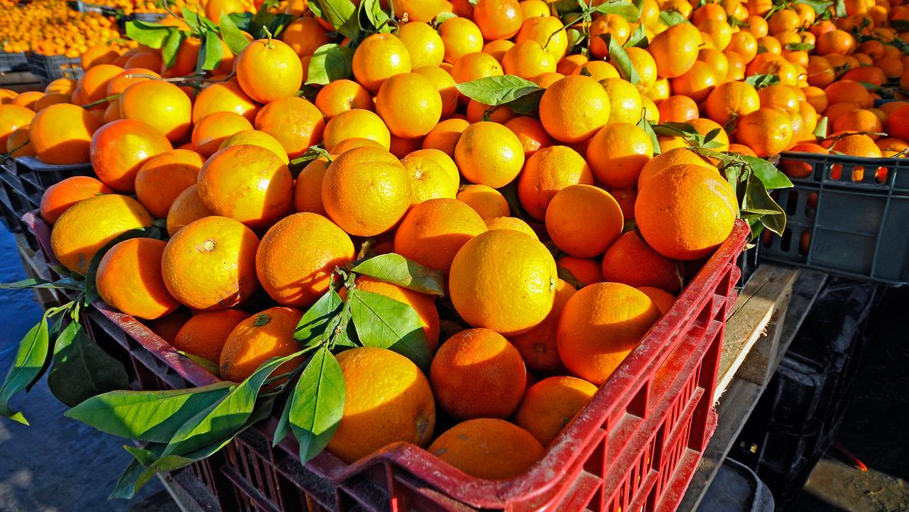 Orangen in Kisten werden auf einem Obstmarkt angeboten.