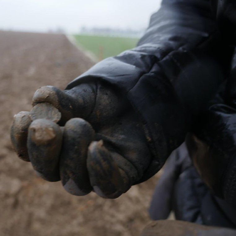Eine Hand im schwarzem mit Erde bedeckten Handschuh hält eine alte Münze, im Hintergrund sieht man einen Acker und ein Stück Wiese.