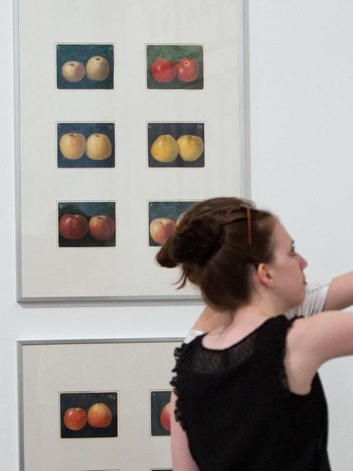documenta-Besucherinnen betrachten am Mittwoch (04.07.2012) im Museum Fridericianum in Kassel das Werk "Apples 1912-1960s" von Korbinian Aigner, das 372 Zeichnungen zeigt.