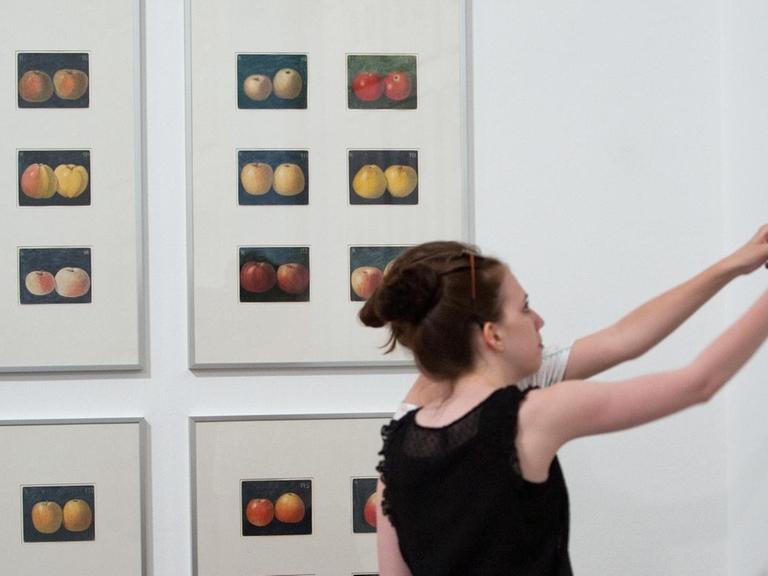 documenta-Besucherinnen betrachten am Mittwoch (04.07.2012) im Museum Fridericianum in Kassel das Werk "Apples 1912-1960s" von Korbinian Aigner, das 372 Zeichnungen zeigt.