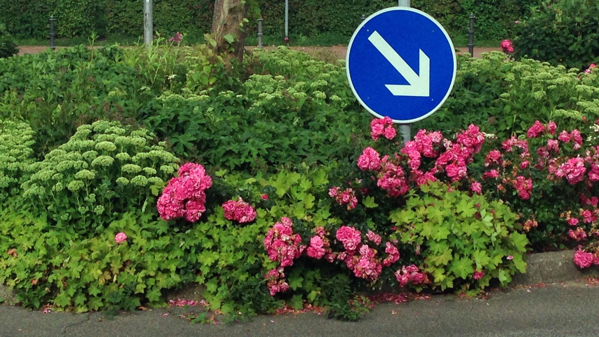 Stadtgrün in Eckernförde: eine liebevoll bepflanzte Verkehrsinsel.