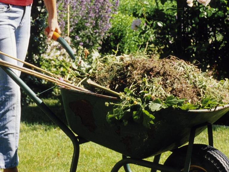 Frau transportiert Gartenabfälle mit einer Schubkarre