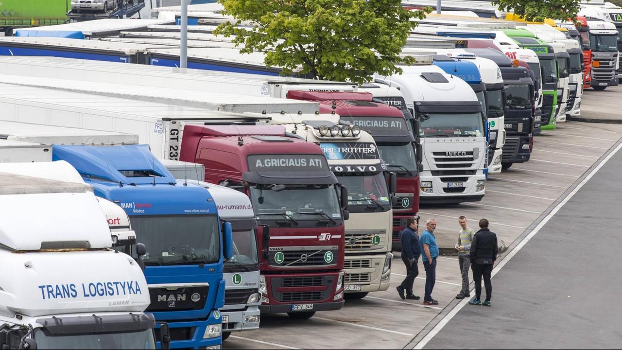 Mehrere LKW stehen nebeneinander auf einem Rastplatz. 