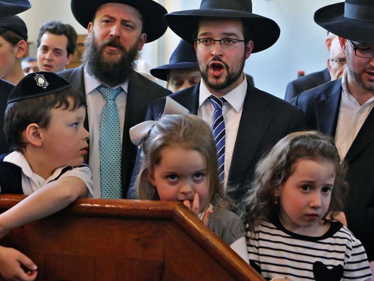 Mit Gesängen feiern jüdische Geistliche den Einzug der neuen Tora-Rolle in der Synagoge in Halle/Saale.