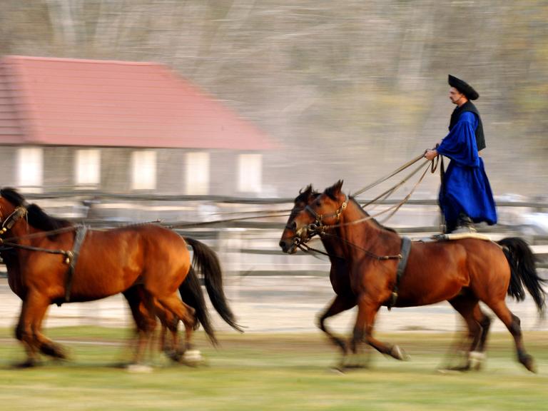 Ein ungarischer Pferdehirte reitet stehend auf mehreren Pferden auf der Koppel eines Zuchtgestütes in der Puszta, aufgenommen 2005