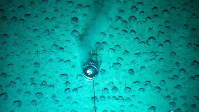 Manganknollen auf dem Meeresgrund im Pazifik.