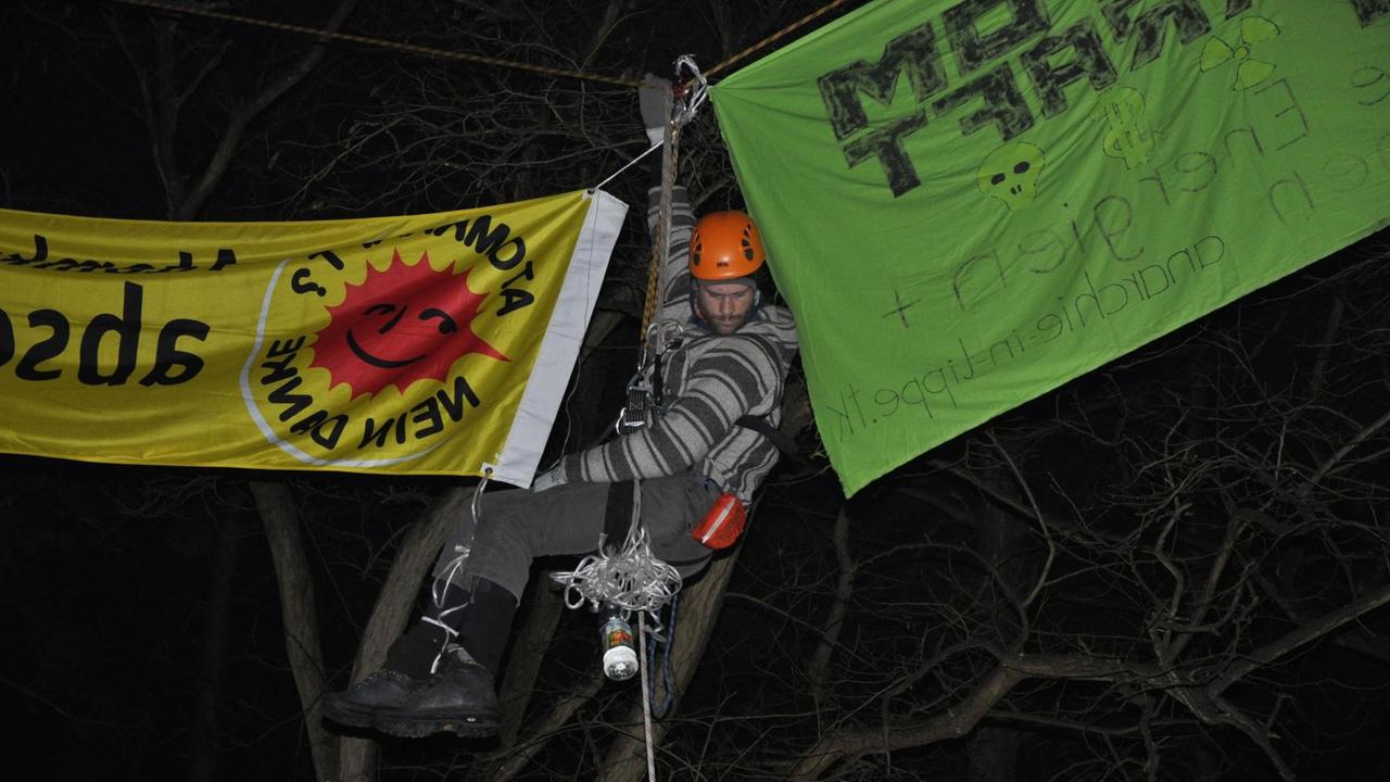 Ein Mann hängt mit Schutzkleidung und Transparenten in einem Baum.  