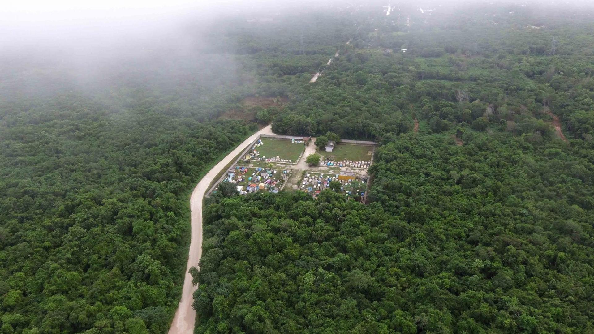 Luftbild von einer Trasse, die durch den Regenwald führt.