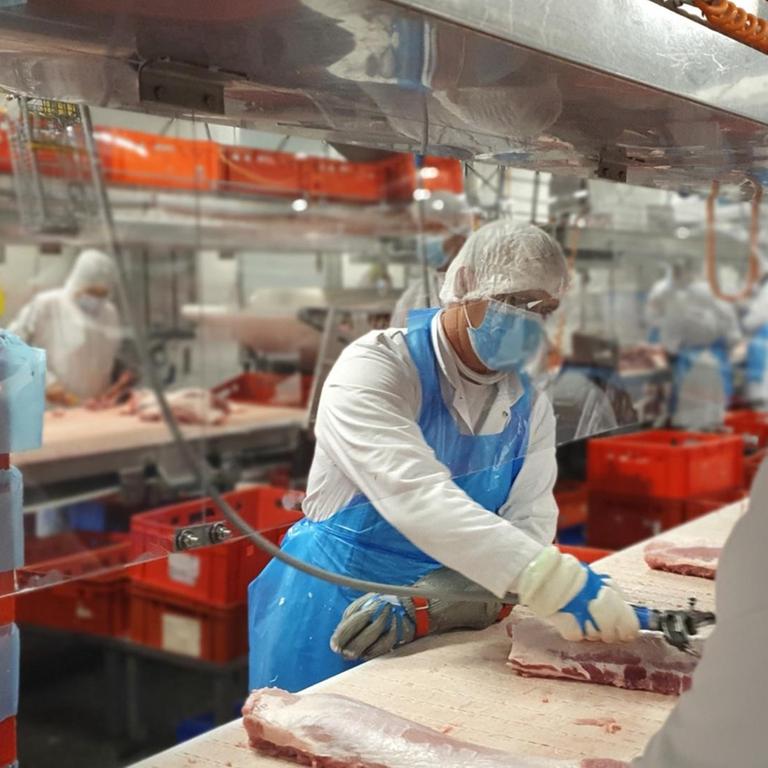Das von der Firma Tönnies zur Verfügung gestellte Foto zeigt Mitarbeiter, die an ihren Arbeitsplätzen von Plexiglasscheiben voneinander getrennt von Tönnies geschlachtete Tiere im Stammwerk des Betriebes zerlegen.