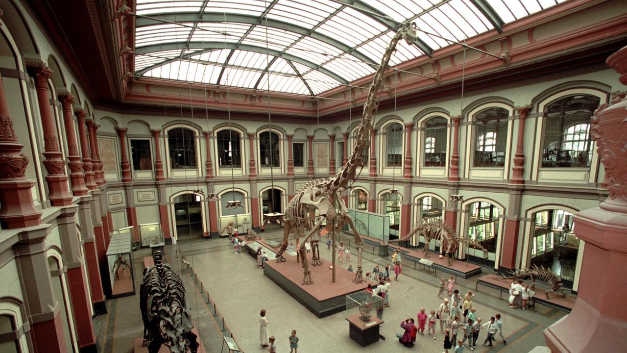 Ein riesiger Dinosaurier in einer großen Halle