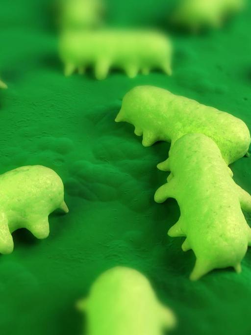 Künstlerische Darstellung von Salmonellen mit ihrem stäbchenförmigen Körper und kleinen beinähnlichen Auswüchsen.