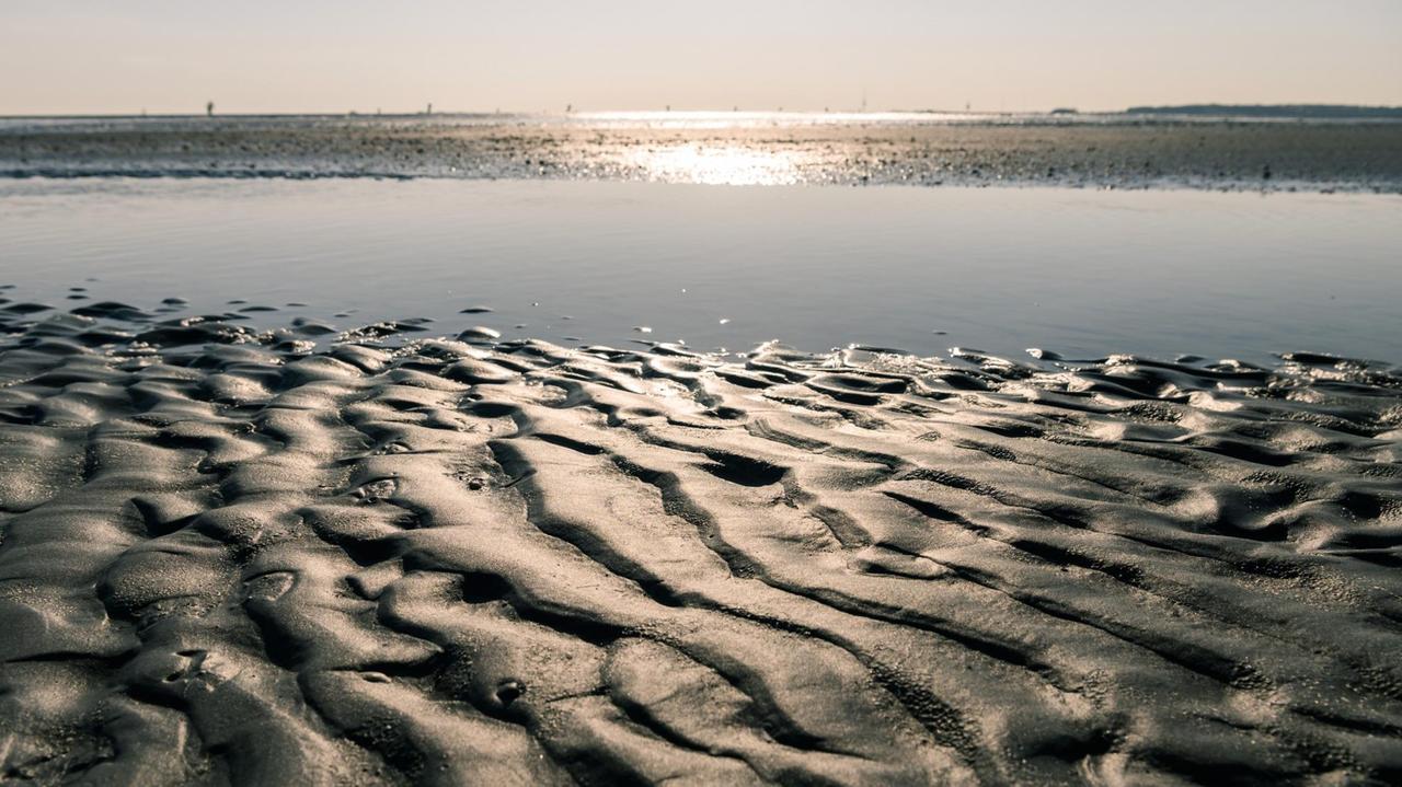 Watt und glitzerndes Wasser: Blick auf das Wattenmeer zwischen Cuxhaven und Neuwerk. 