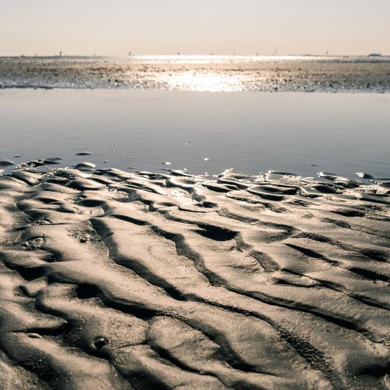 Naturschutz - Wattenmeer stärker gefährdet als vor fünf Jahren